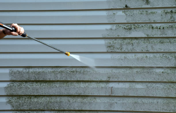 Solar Panel Cleaning in The Hills, TX